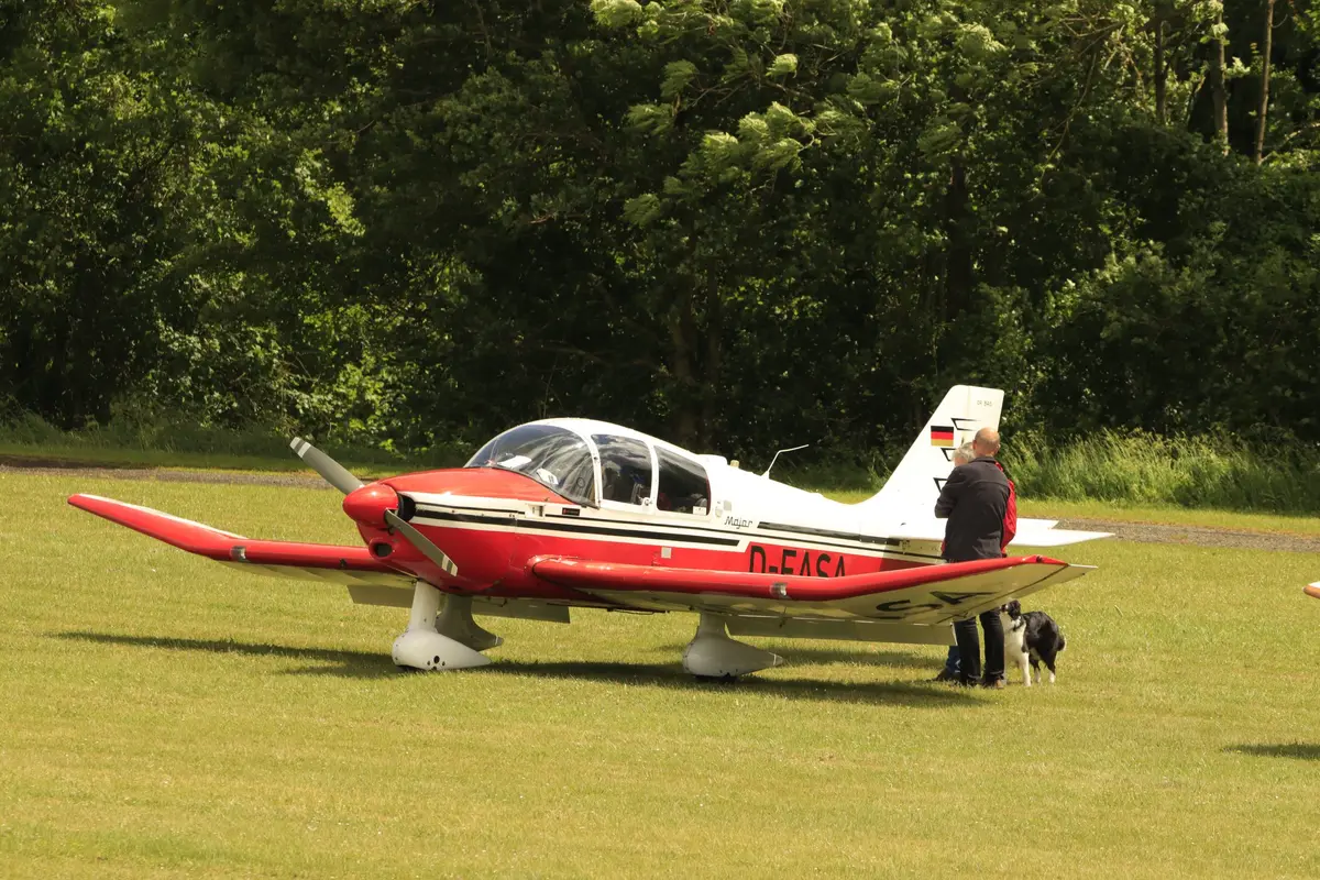 Rote Robin auf der Wiese, daneben eine Person mit Hund