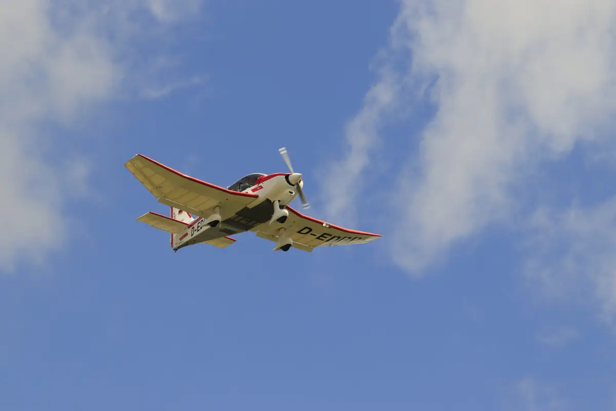 Rot-weiße Robin im Überflug vor blauem Himmel