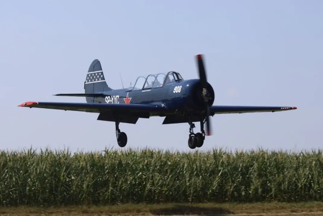 Kunstflugzeug Jak-52 im Landeanflug über ein Maisfeld