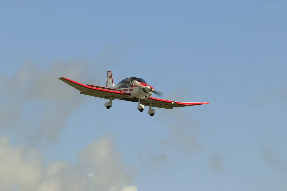 Rot-weiße Robin im Überflug