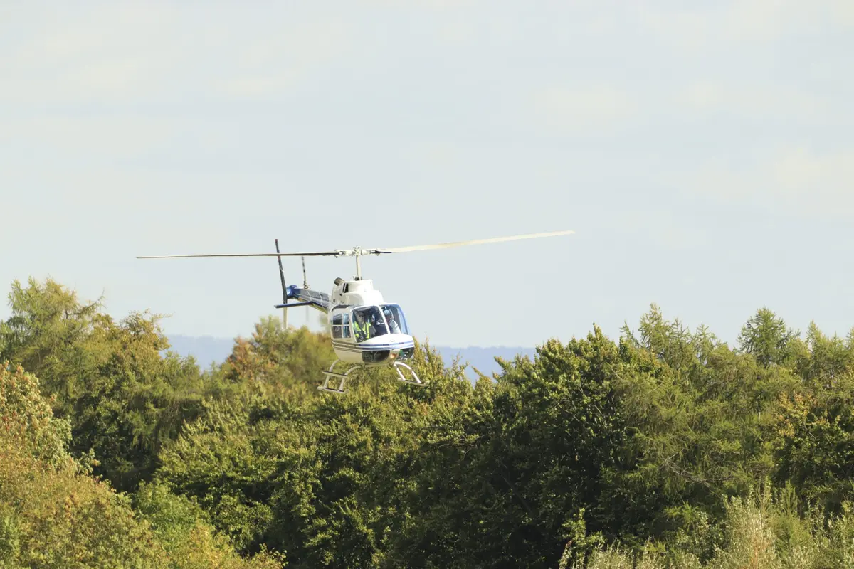 Hubschrauber knapp über der Baumreihe